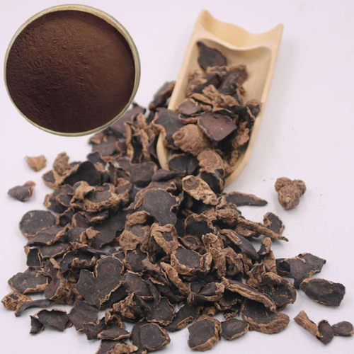 Black Ginger Extract_