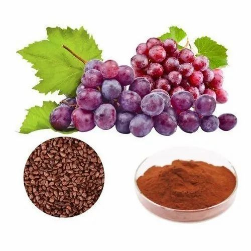 Grape Seed Extract_